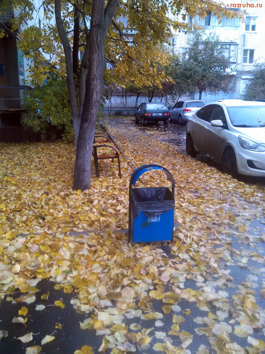 Курск - Пришла осень