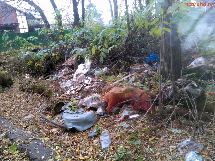 Курск - В лесу нагадили