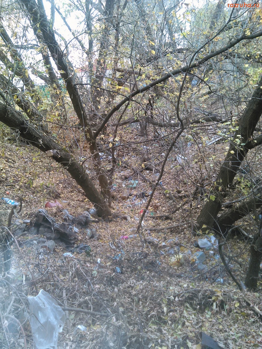 Курск - Мусор в лесу