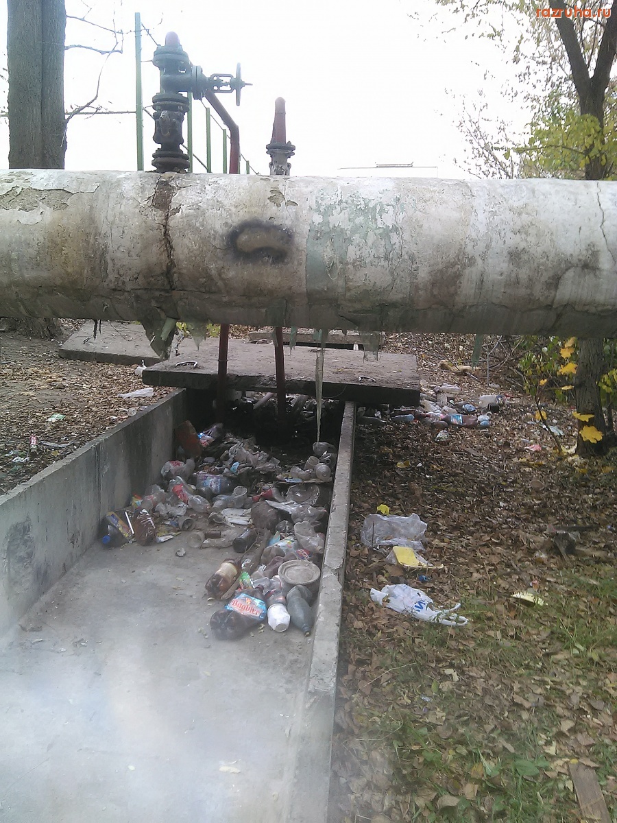 Курск - Вечно гадят