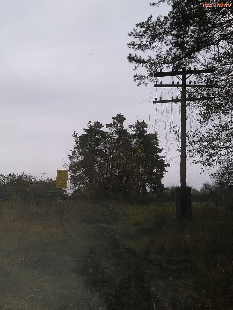 Курск - Оборванные провода