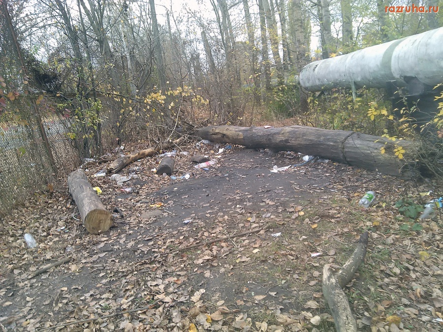 Курск - Культурное место