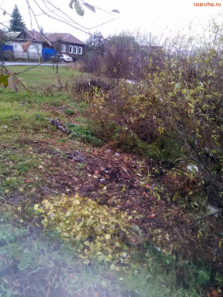 Курск - Садовый мусор