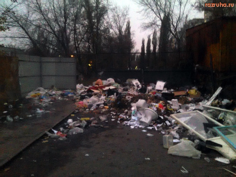 Курск - Свинство возле школы