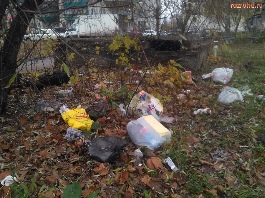 Курск - Не донесли до помойки