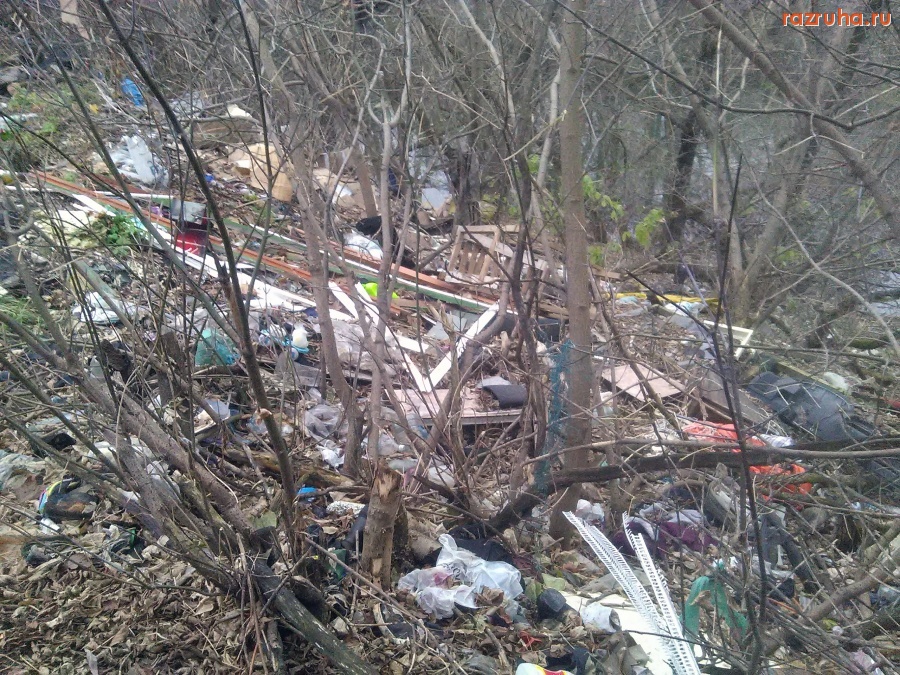 Курск - Апофеоз свинства