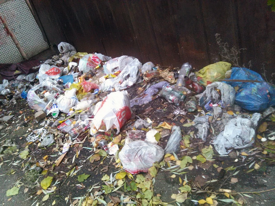 Курск - Накидали мусор