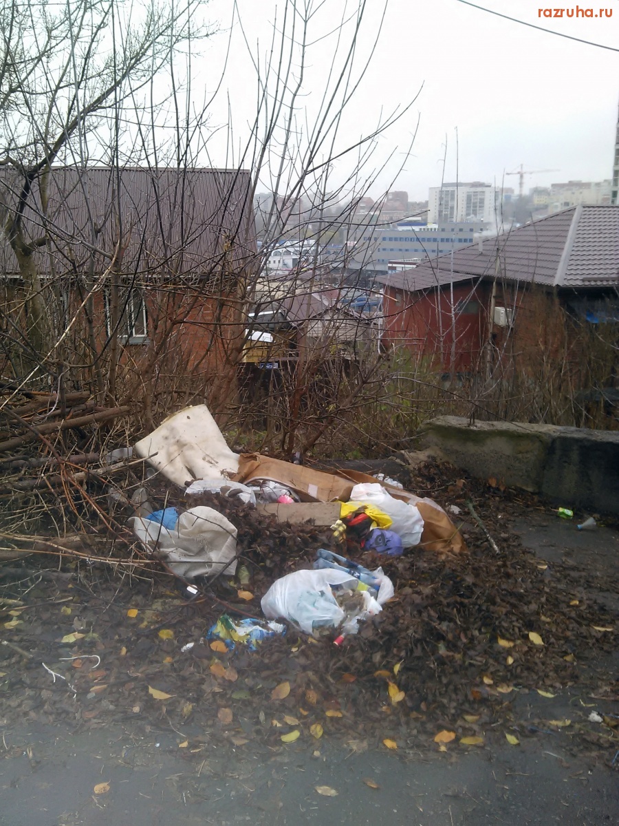 Курск - Кучка