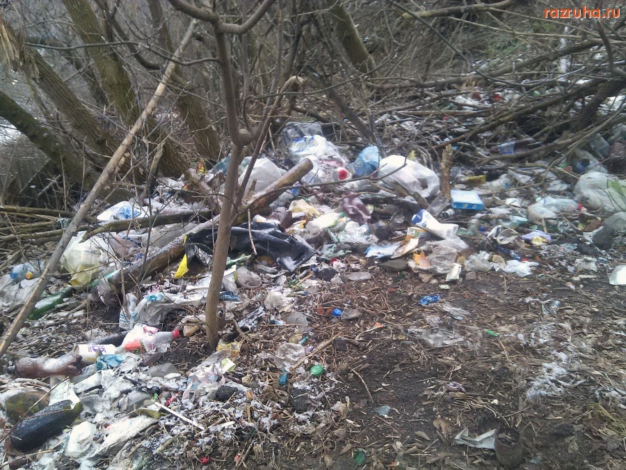 Курск - Мусор накидали