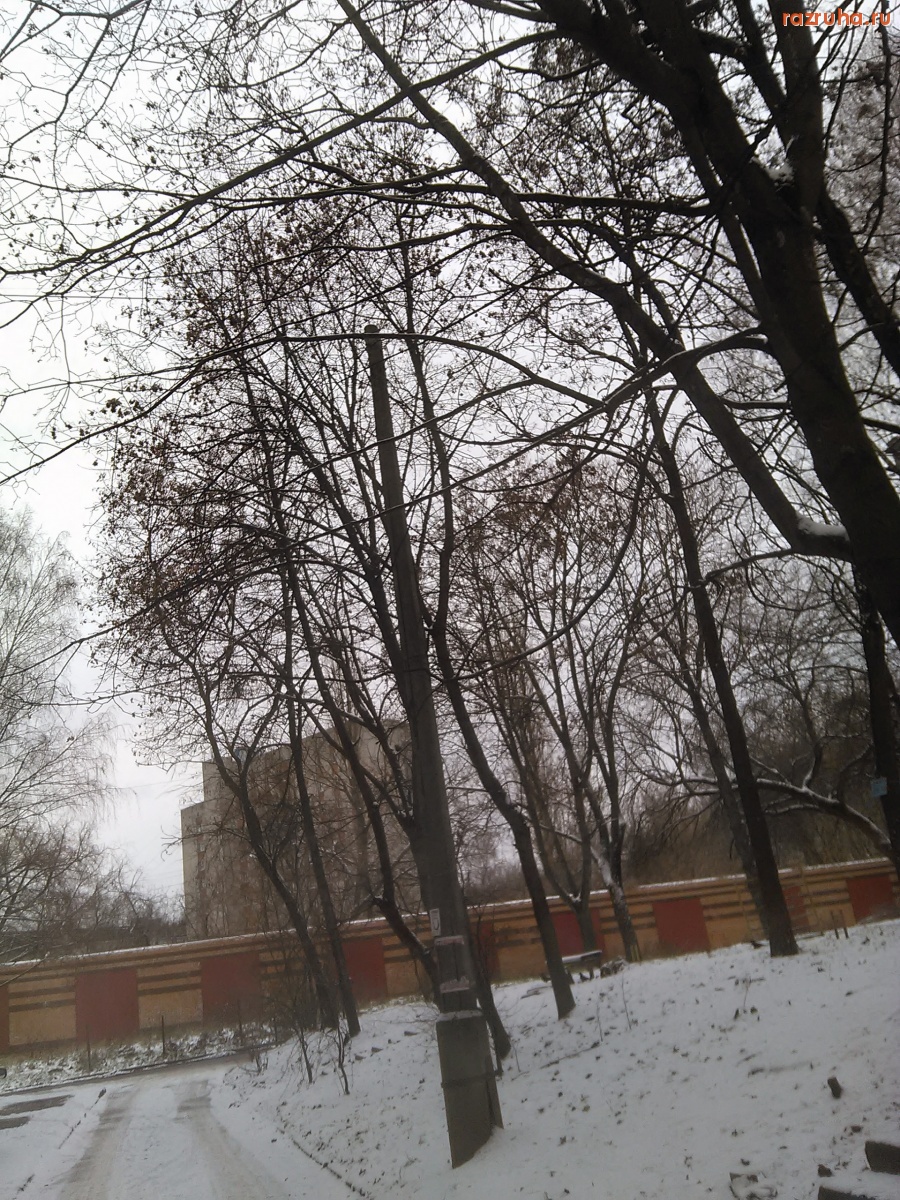 Курск - Брошенный столб