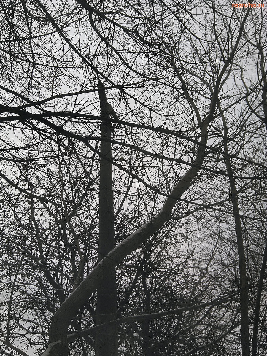 Курск - Столб без фонарей