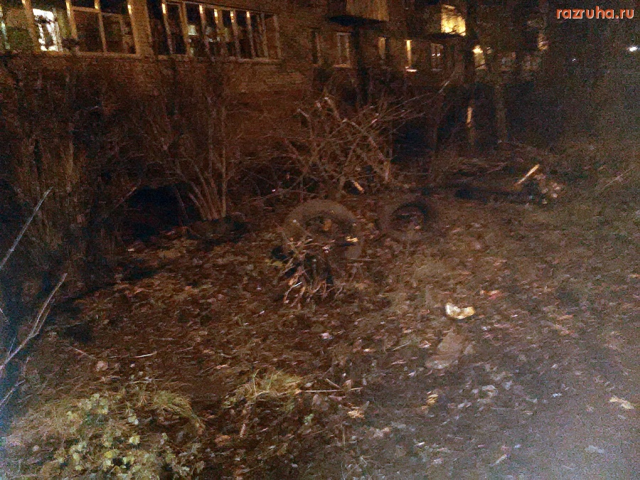 Курск - Завал деревьев