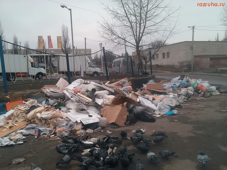 Курск - Много мусора