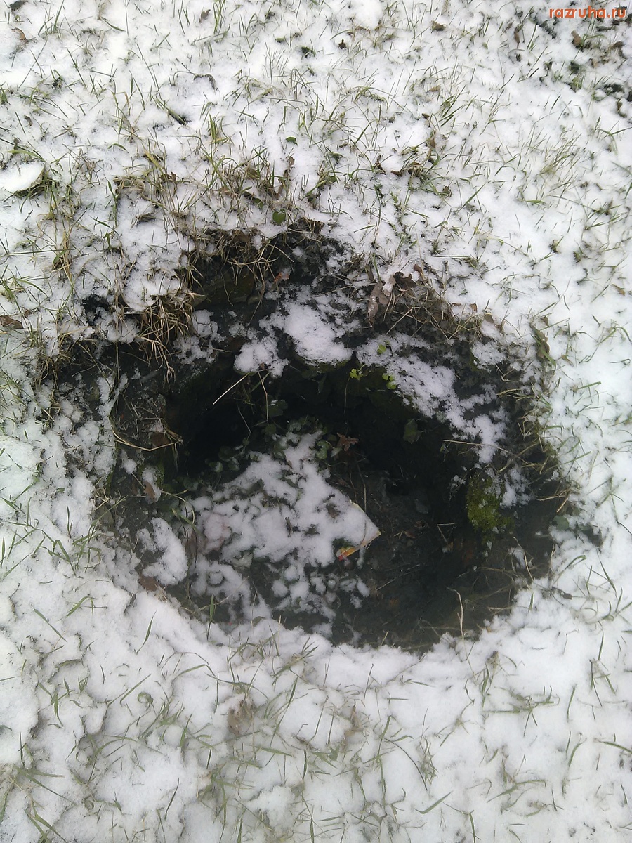 Курск - Дырка