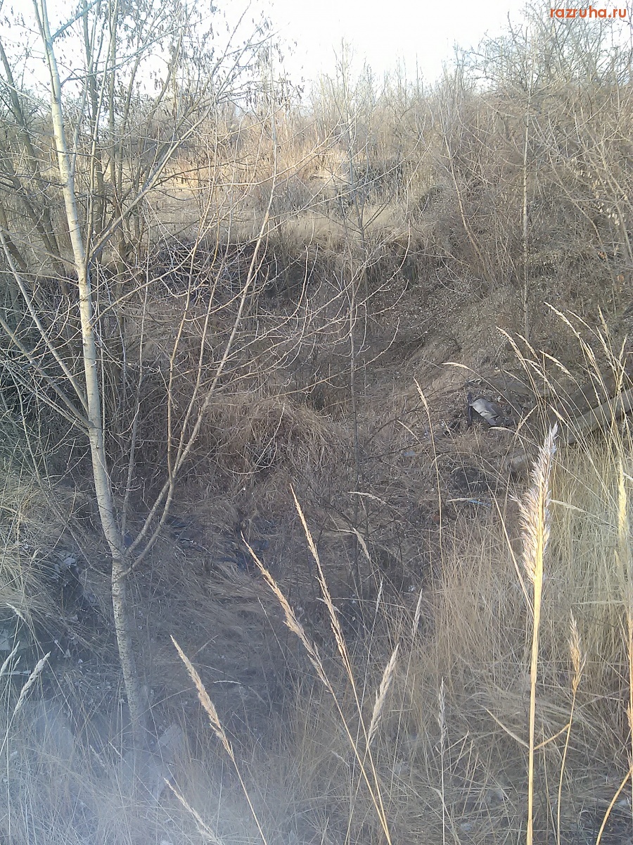 Курск - Копали