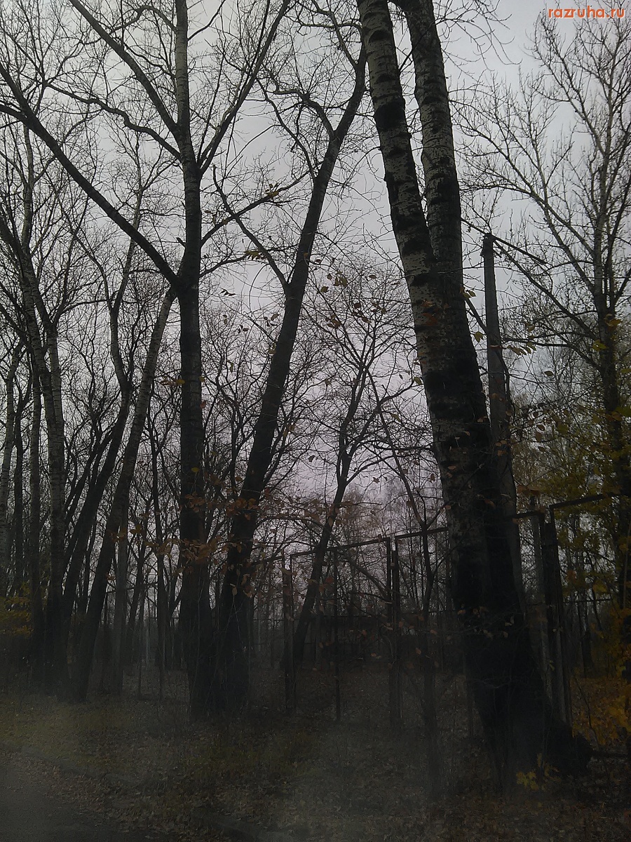 Курск - Освещение площадки