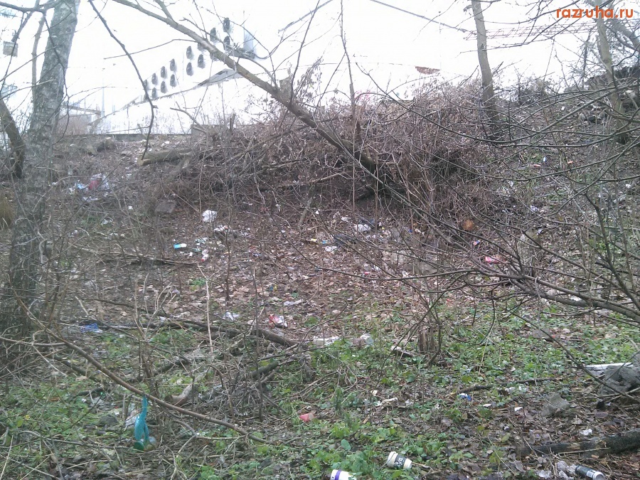 Курск - Гадят