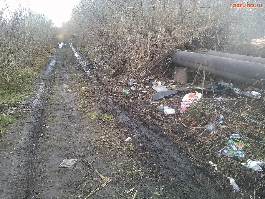 Курск - Грязная дорога