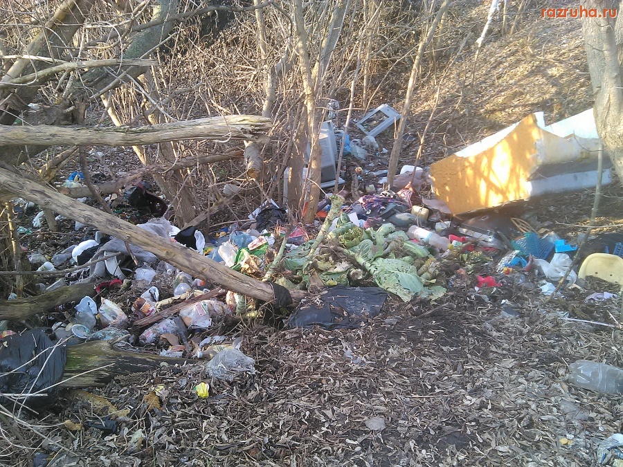 Курск - Мусор под кустом