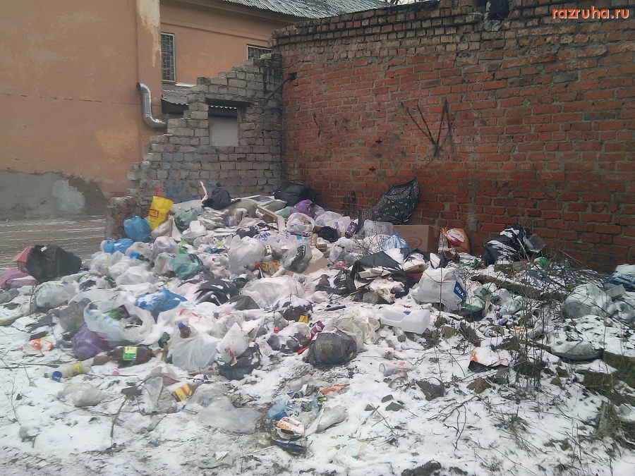 Курск - А тут нагадили