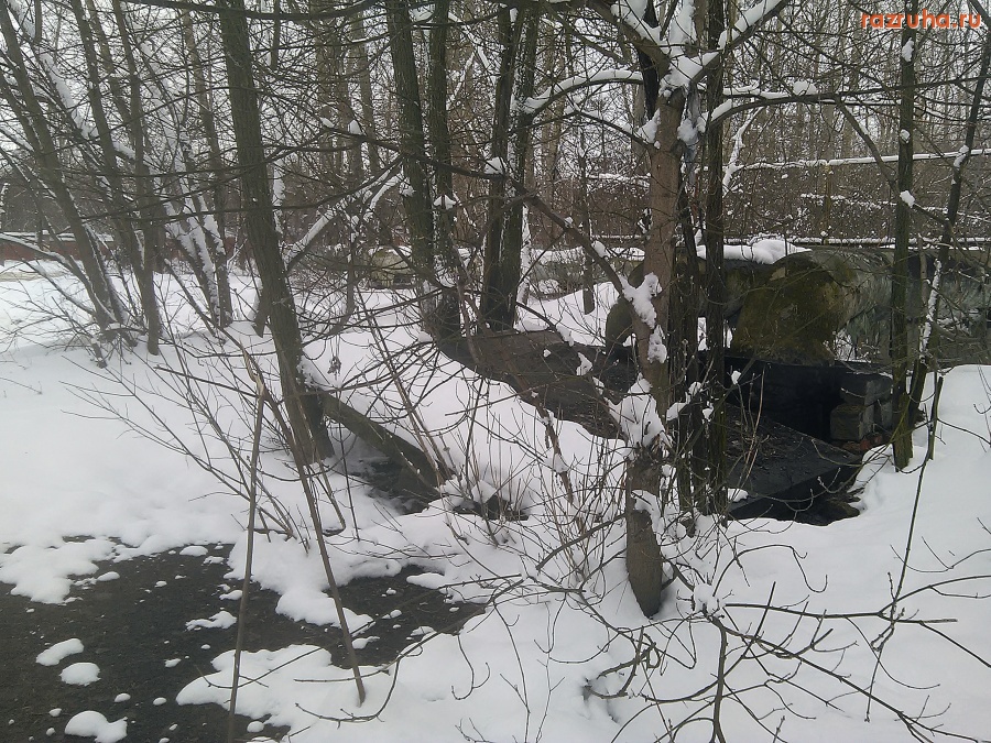 Курск - Бомжатника больше нет