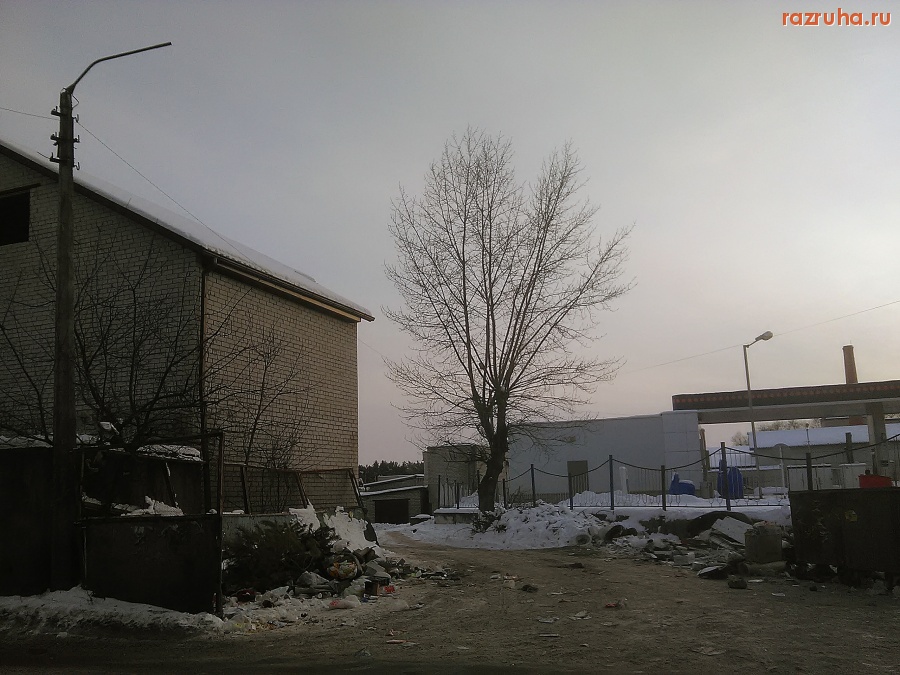 Курск - Ёлки на помойке