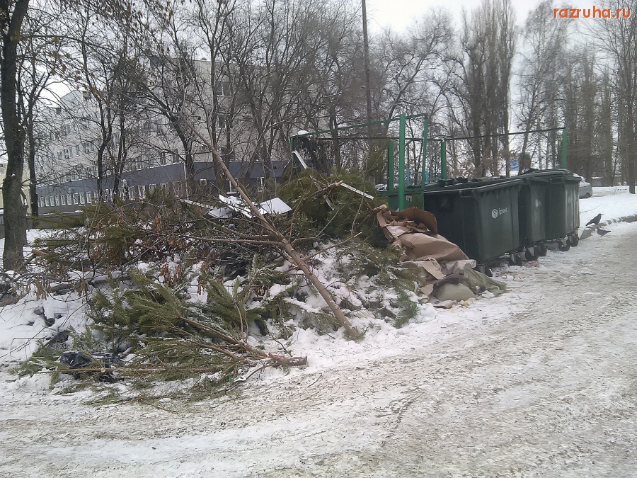 Курск - Ёлки на помойке