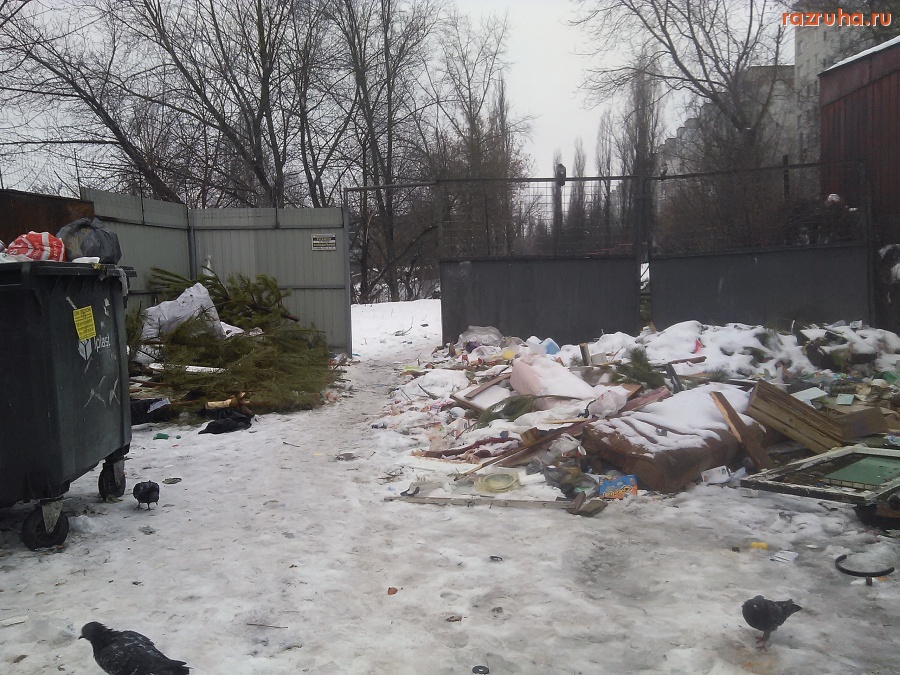 Курск - Ёлки в мусоре