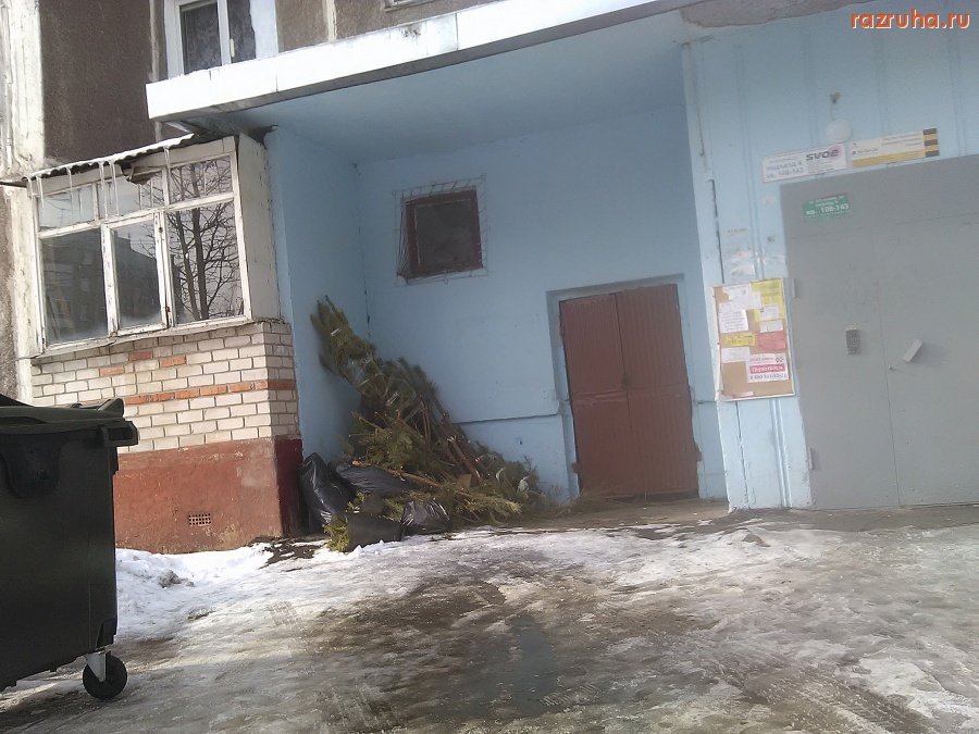 Курск - Ёлки у подъезда