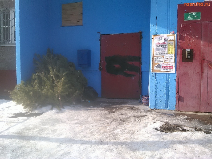 Курск - Беда с ёлками