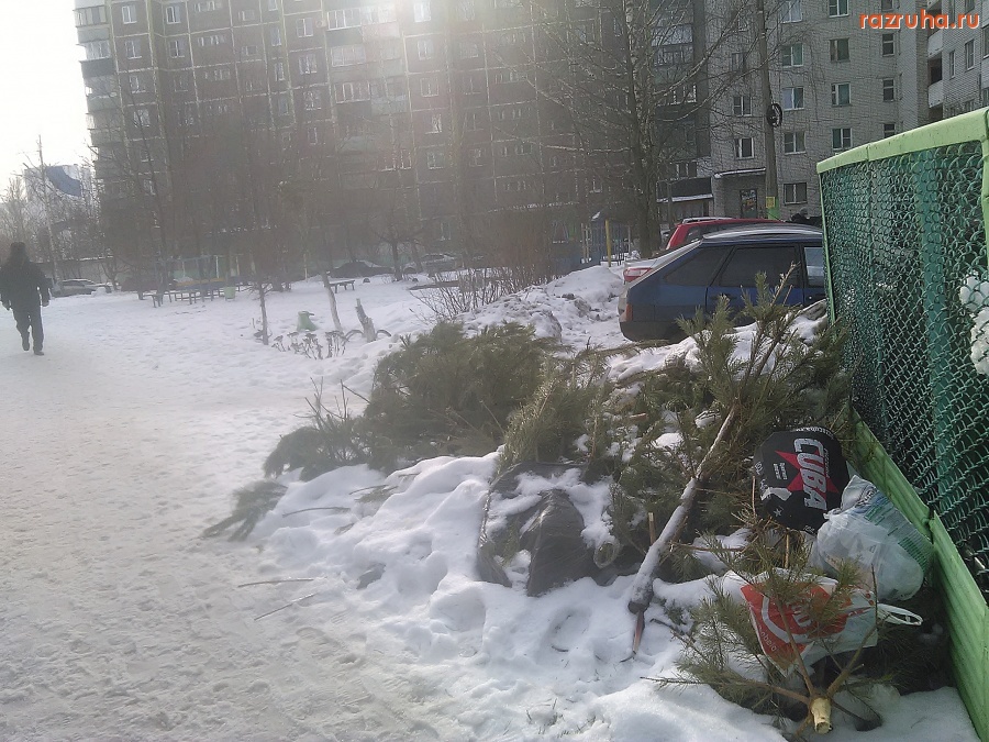 Курск - Куча ёлок