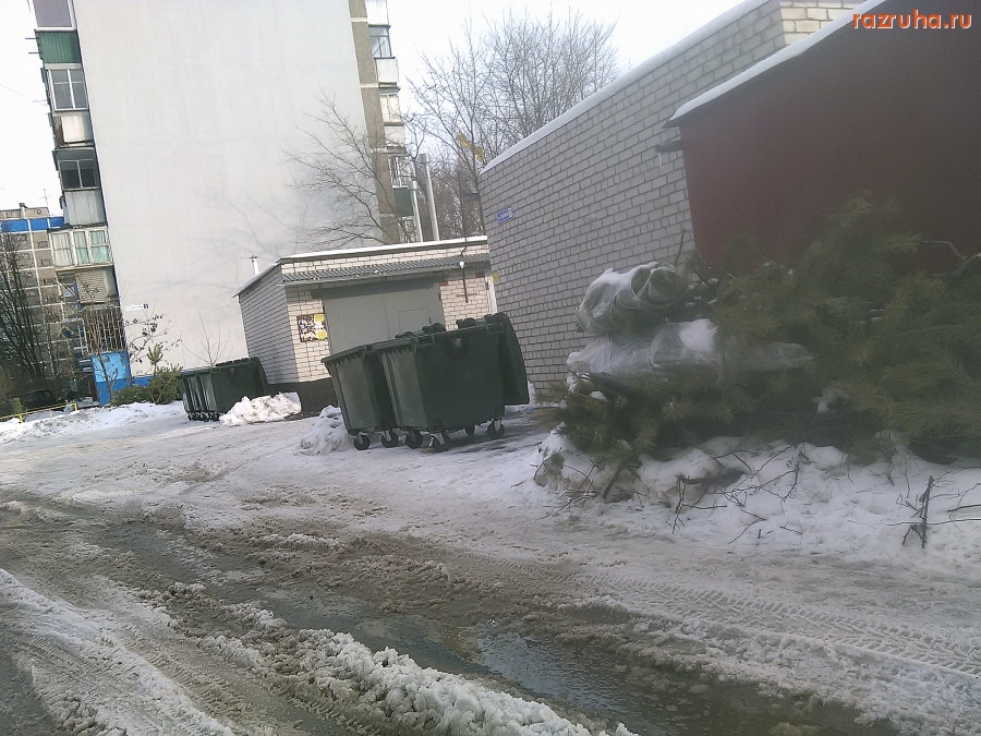 Курск - Ёлки на мусорке