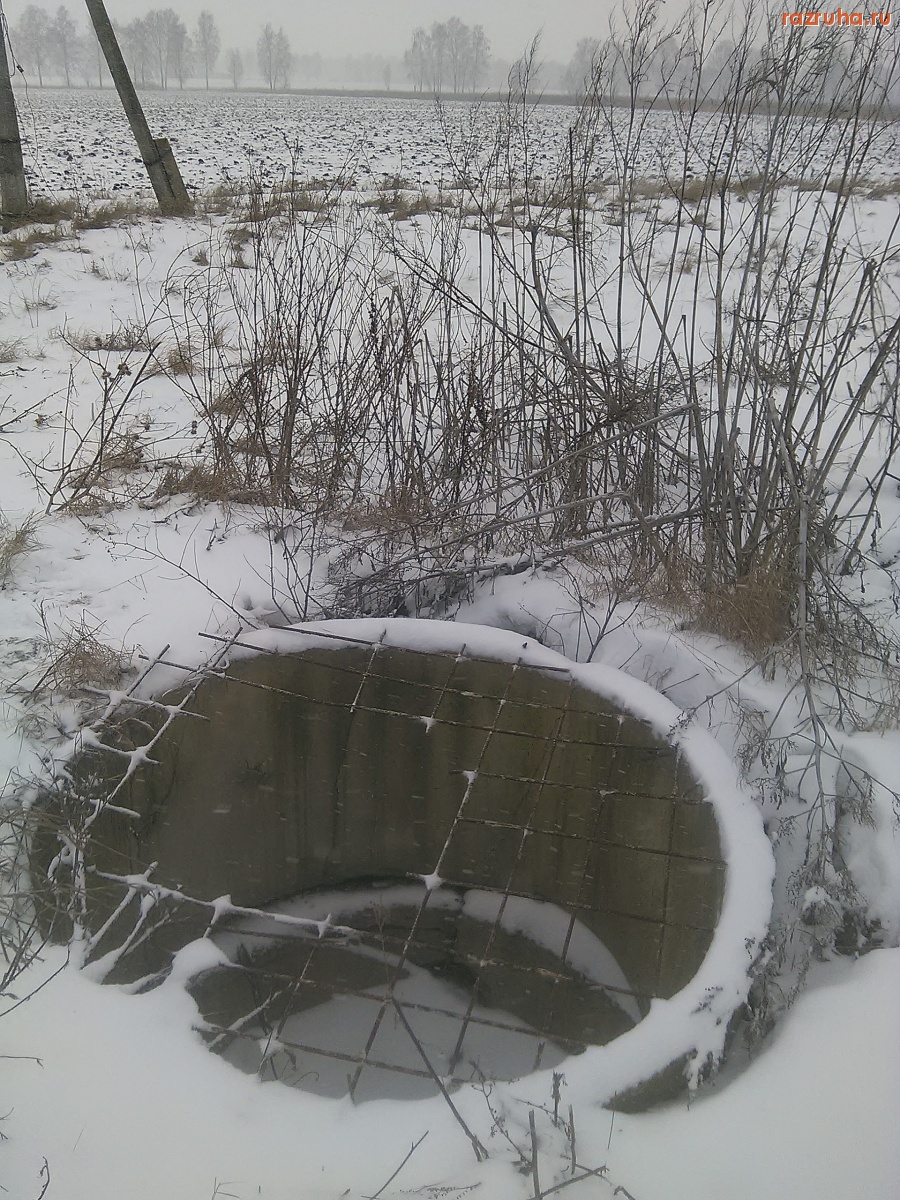 Курск - Гнездо