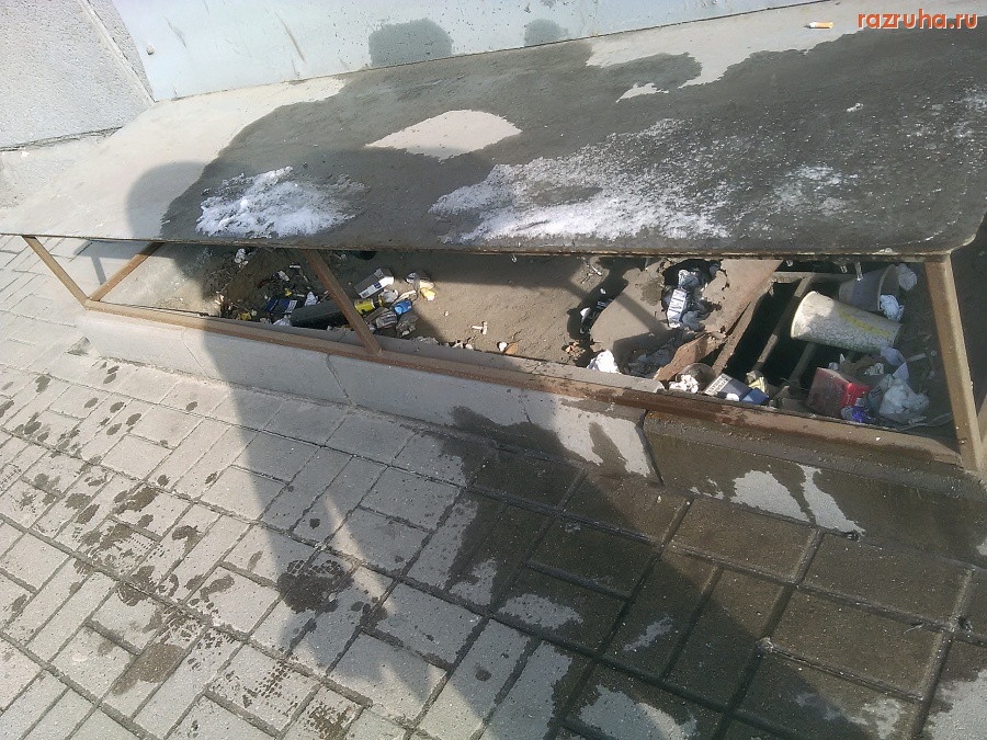 Курск - Демонстрация свинства