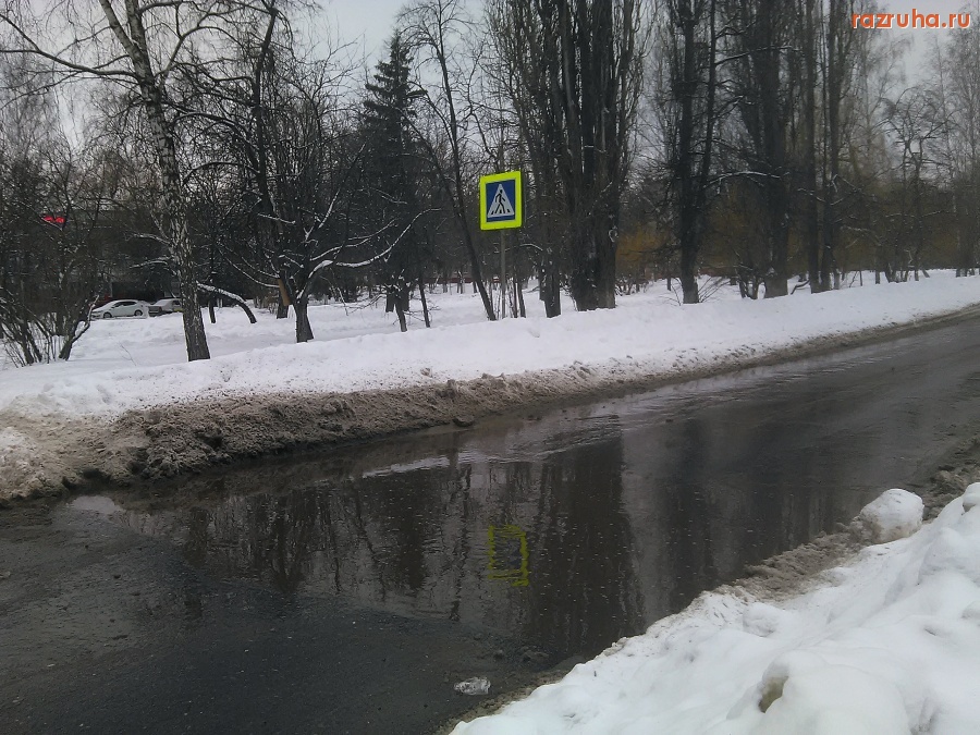 Курск - Лужа на дороге