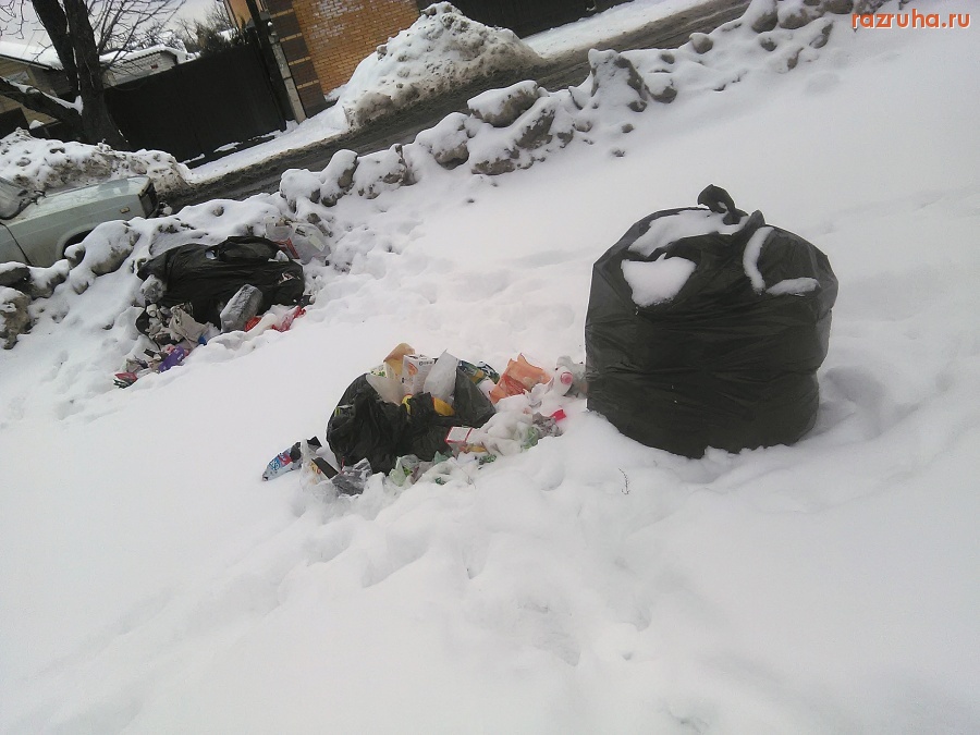 Курск - Демонстрация свинства