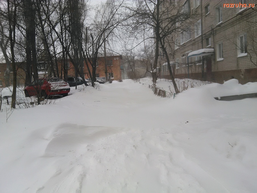 Курск - Нечищеный двор