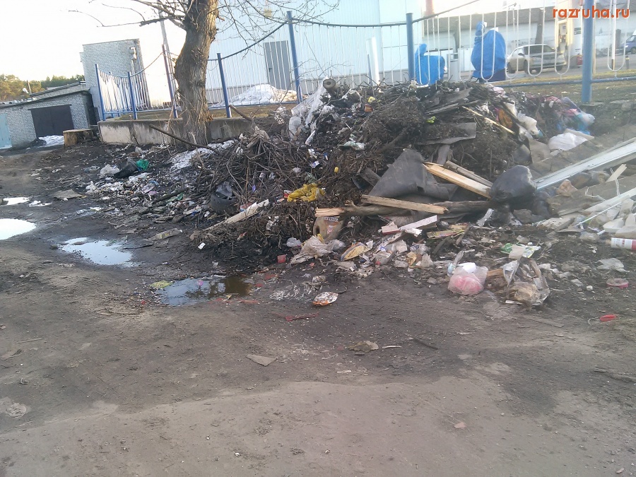 Курск - Вечное свинство