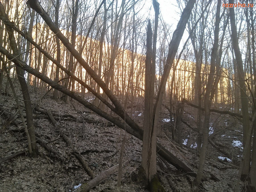 Курск - Овраг