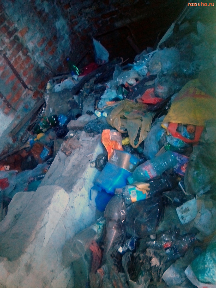 Курск - Гадкая будка