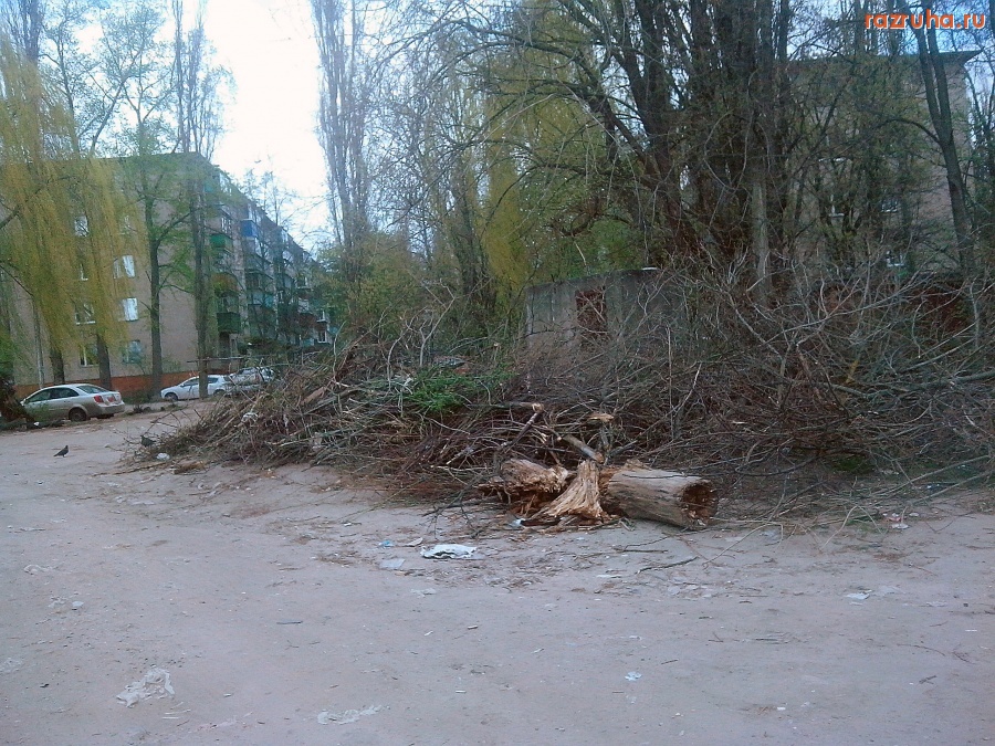 Курск - Куча на свалке