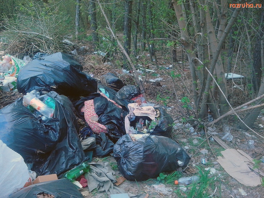 Курск - Помойка гадит в лес