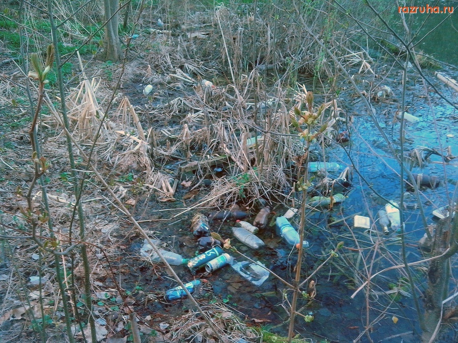 Курск - Гадят в воду