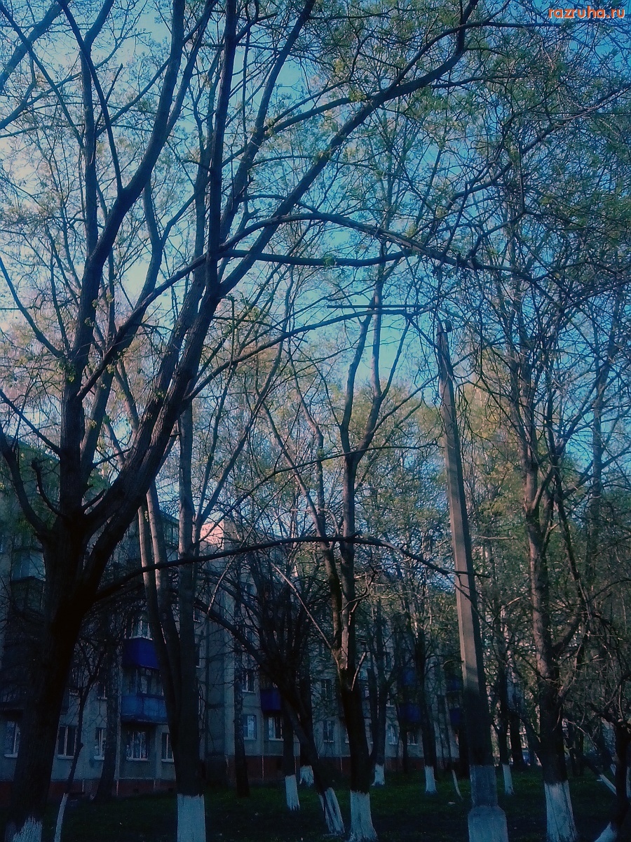 Курск - Столб без фонаря