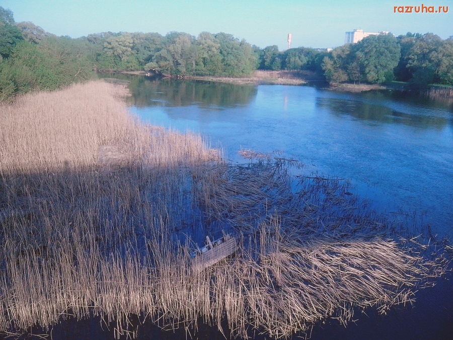 Курск - Торчит в воде