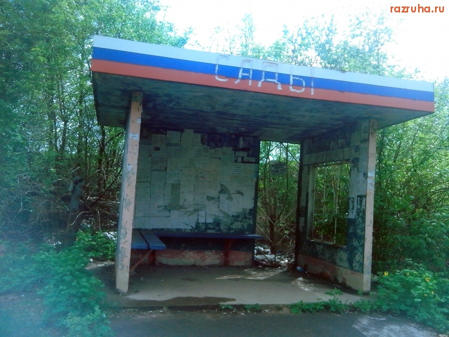 Курск - Гадят с остановки