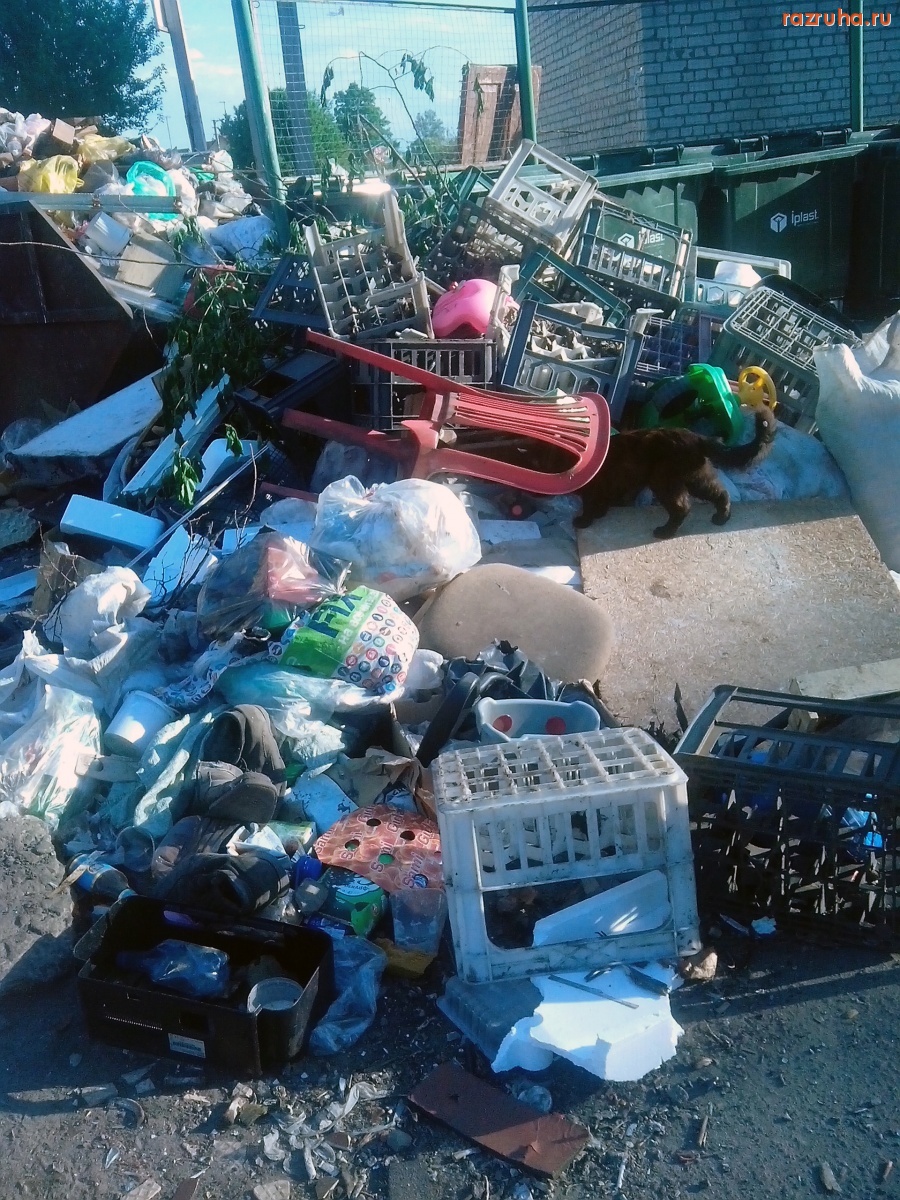 Курск - Куча на мусорке