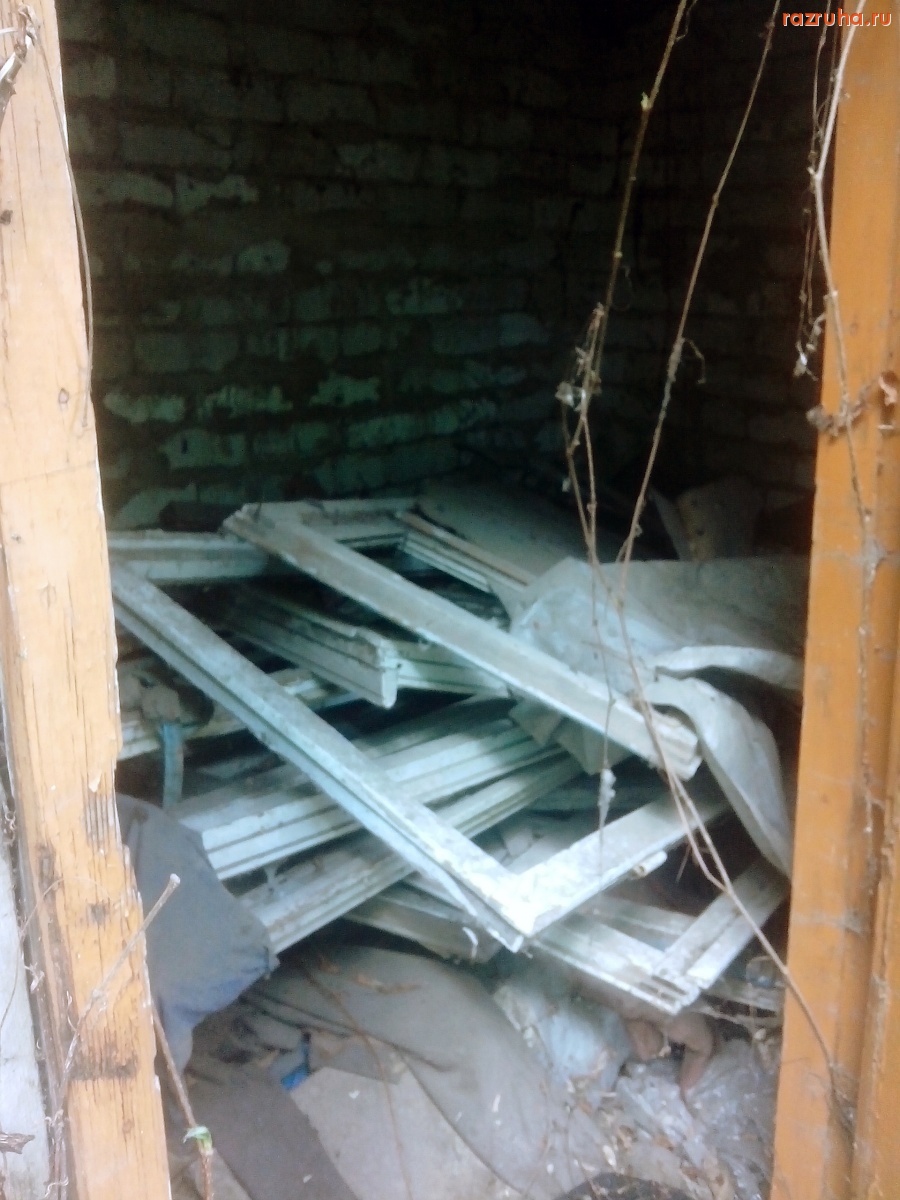 Курск - Загаженные заросли