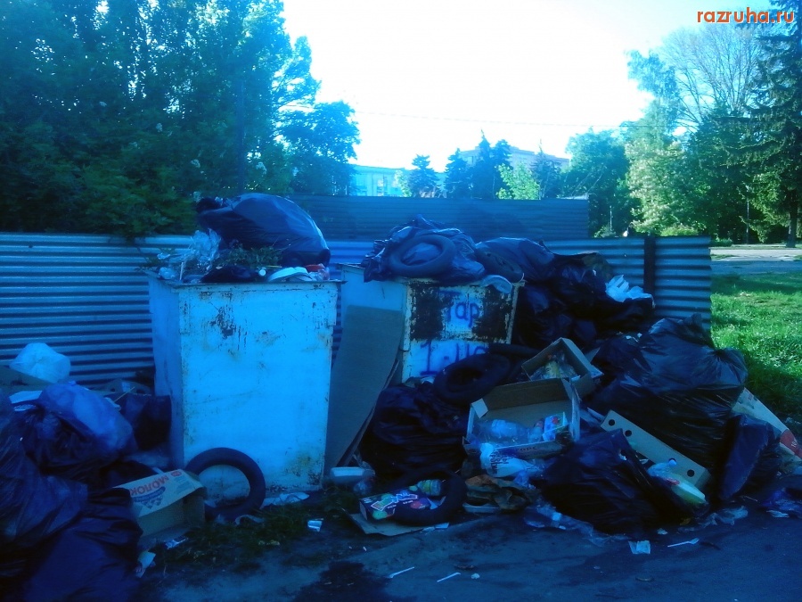 Курск - Помойка в парке