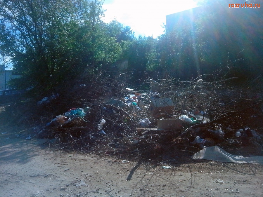 Курск - Куча веток